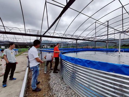 臺風“煙花”來襲，三門縣快速行動確保畜牧漁業飼料供應穩定