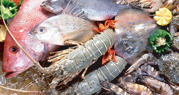 平陽人有口福了！8月1日起新鮮海產上市，各類海魚豐富餐桌